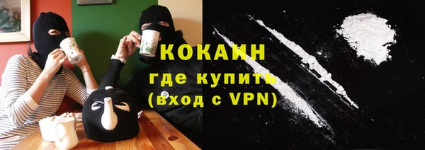прущие грибы Гусев