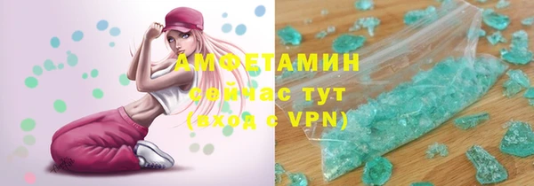 прущие грибы Гусев