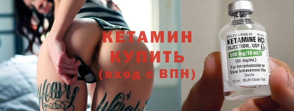 прущие грибы Гусев