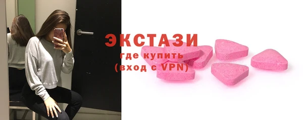 прущие грибы Гусев