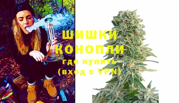 прущие грибы Гусев