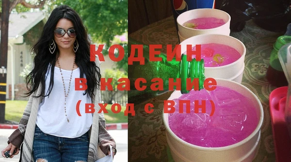 прущие грибы Гусев