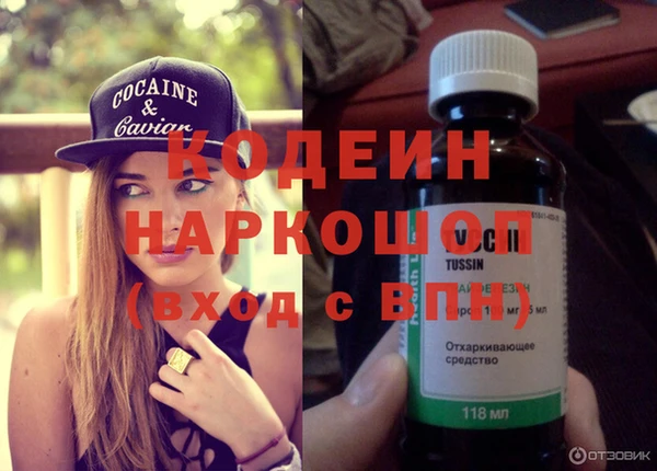 прущие грибы Гусев