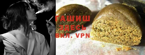 прущие грибы Гусев