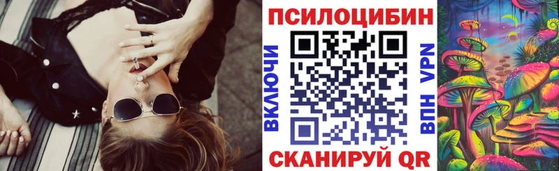 Псилоцибиновые грибы MAGIC MUSHROOMS  купить закладку  Долгопрудный 